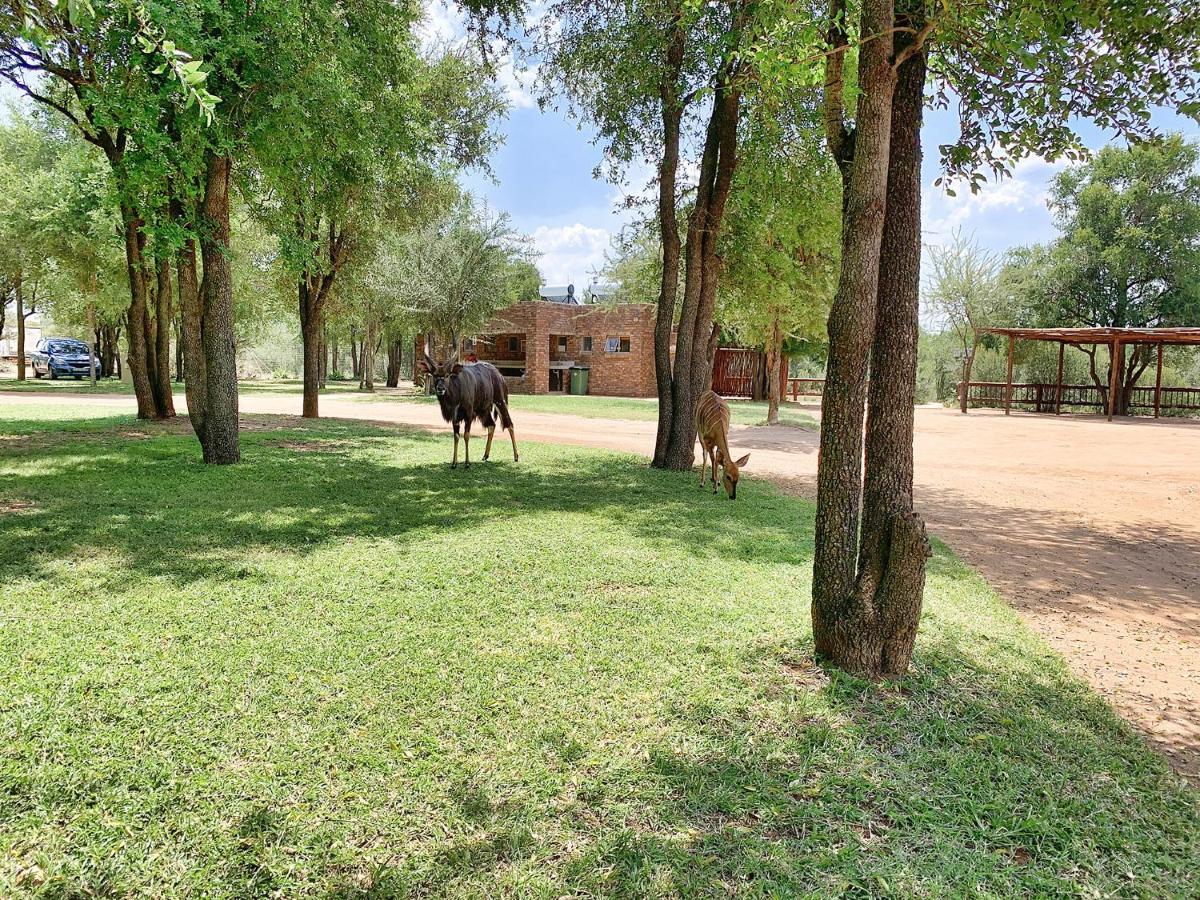 Tshikwalo Game Lodge Klipdrift Eksteriør billede
